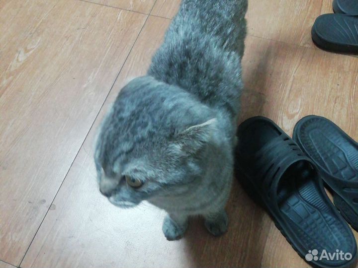 Продам за 500