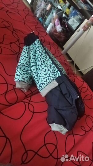 Одежда для собак