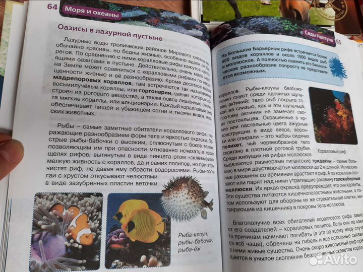 Книги энциклопедии для детей