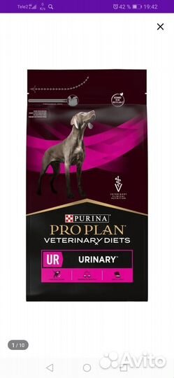 Корм для собак