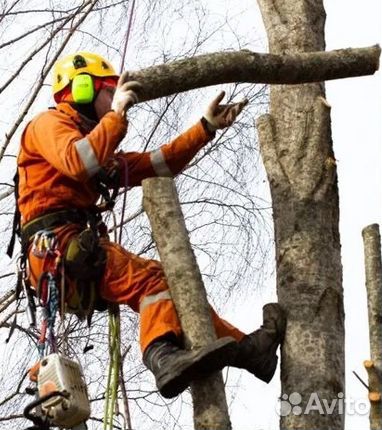 Спил деревьев Корчевка Расчистка участков