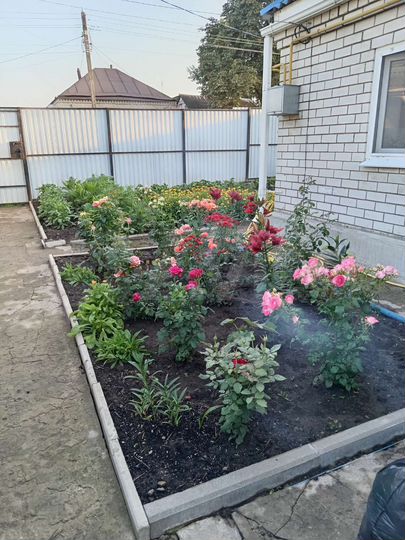 Дом 54,5 м² на участке 6 сот.