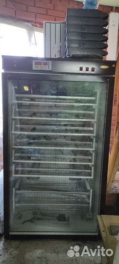 Инкубатор для яиц 