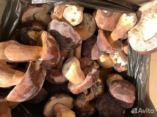 Грибы замороженные опт