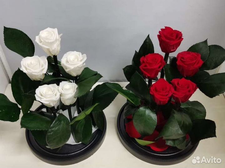 Подарок на новый год / Цветы