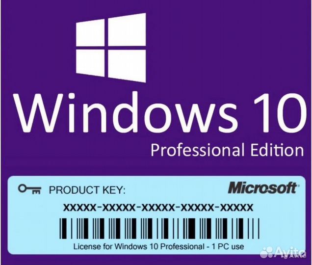 Windows 10/11 Pro