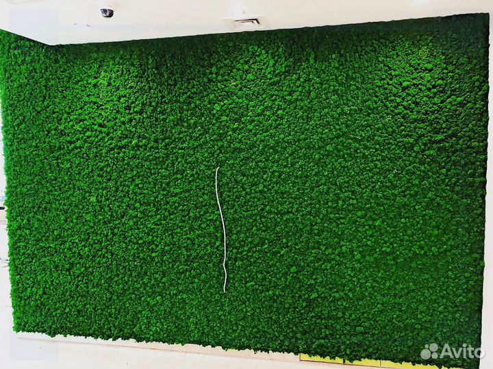 Панели из стабилизированного мха