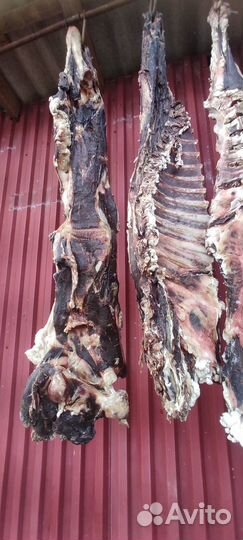 Сушоное мясо