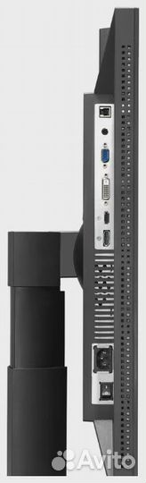 Монитор asus PA249Q