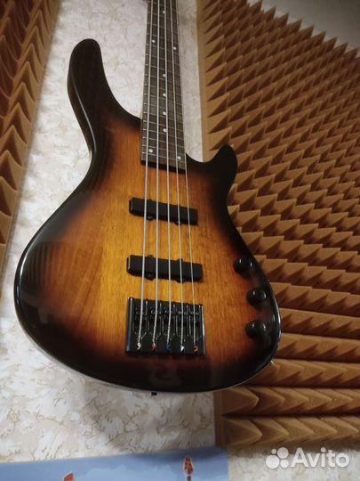 Бас гитара 5 струн Lyon by Washburn/ обмен