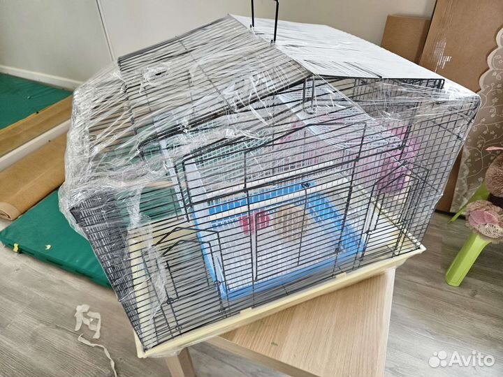 Попугаи неразлучники пара с клеткой