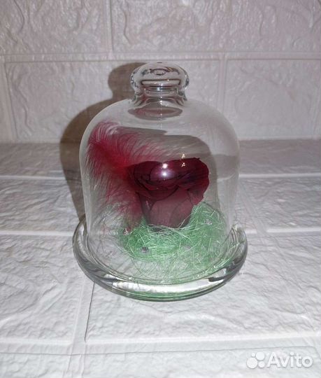 Роза в колбе живая на подарок