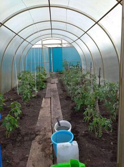 Дом 42 м² на участке 18,5 сот.