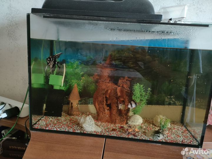 Аквариум с тумбой
