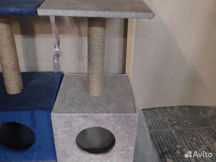 Когтеточка