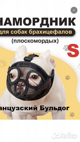 Намордник для собак