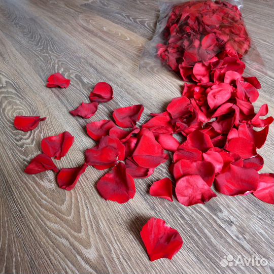 Свежие лепестки роз