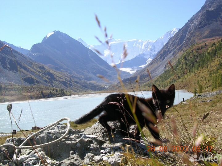 Тур к горе Белуха