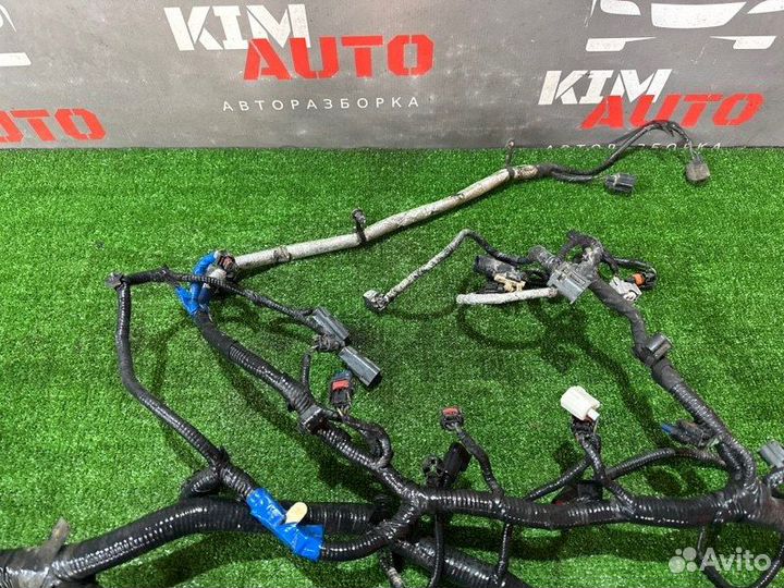 Жгут проводов двигателя Ford Focus 3 седан 2.0L