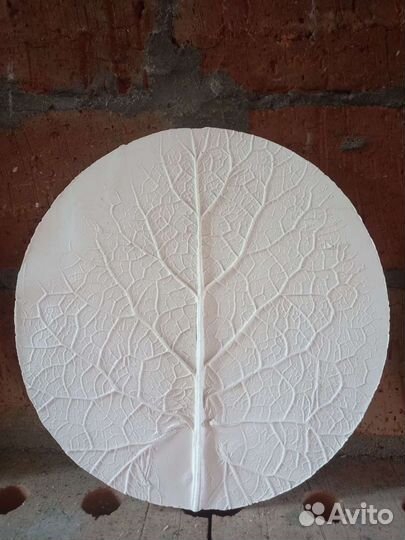 Ботанический барельеф