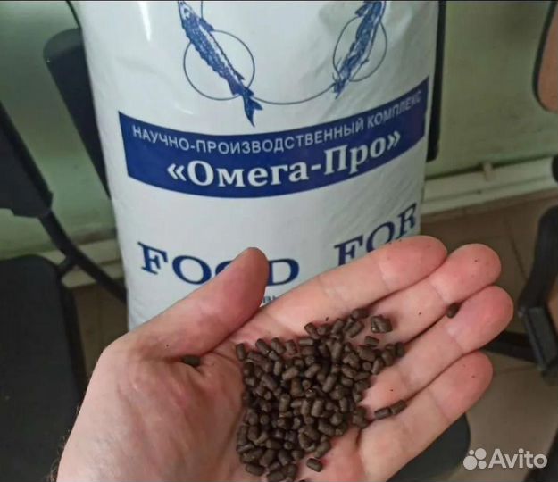 Корма для форели, клариевого сома, осетра, сиговых