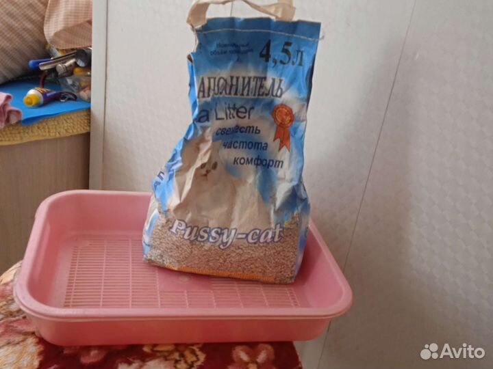 2 Лотка и наполнитель для кошек