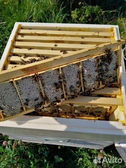 Упаковка для сотового мёда