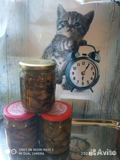 Корм для собак и кошек