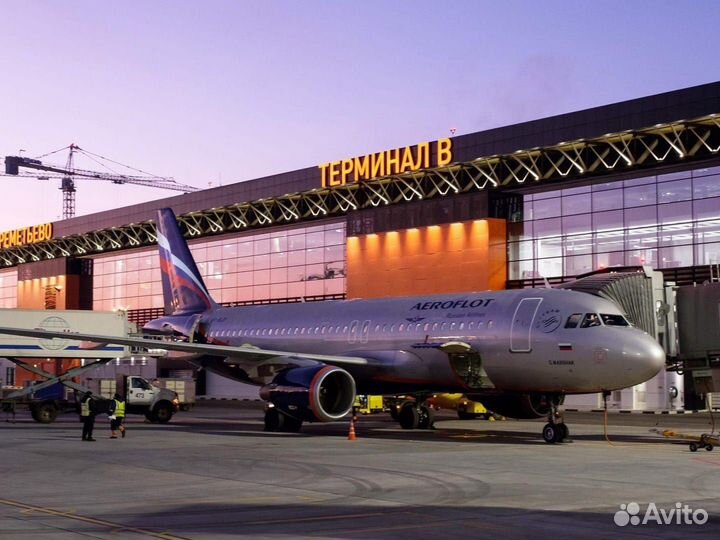 Вахта Москва Работники аэропорта