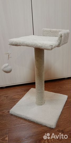 Когтеточка