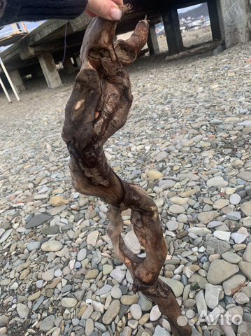 Флористика