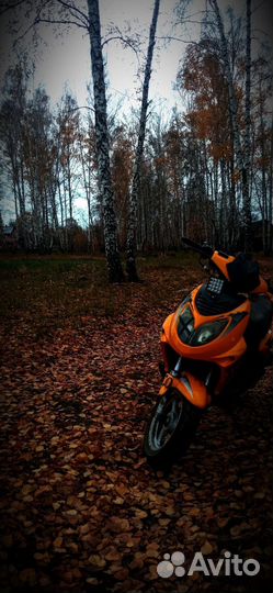 Зверь а не скутер