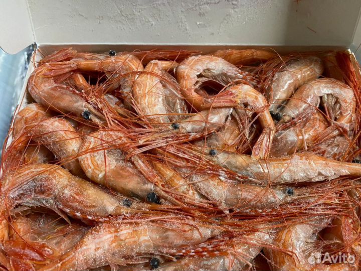 Креветки равнолапые полосатые сырые