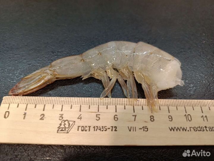 Креветки крупные без головы свежемороженые