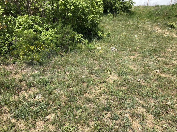 Участок 8 сот. (ИЖС)