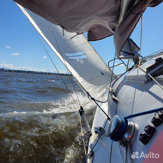 Парусная яхта. Доля или место в экипаже