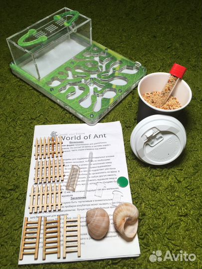 Муравьиная ферма