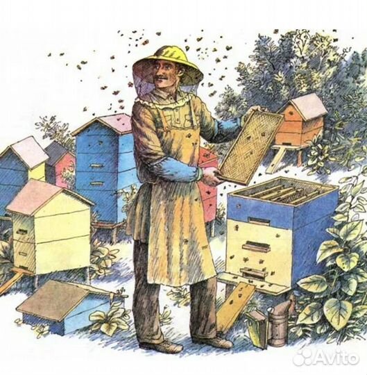 Пасечный инвентарь