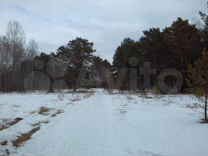 Участок 1,2 га (СНТ, ДНП)