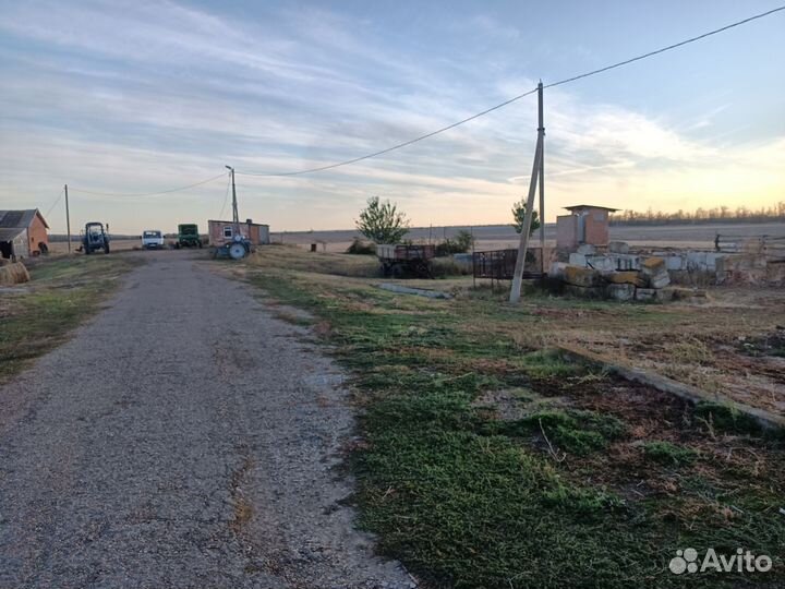 Продается сельхоз ферма