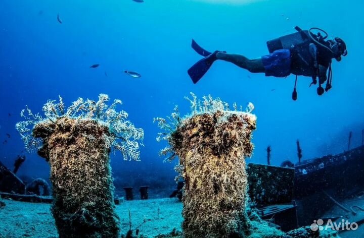 Тур путевка в Сиде от 5* 7 ночей все включено