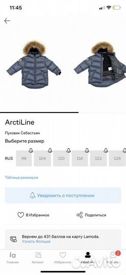 Зимний пуховик Arctiline и штаны Moncler оригинал