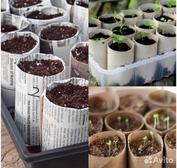 Втулки под рассаду / для творчества