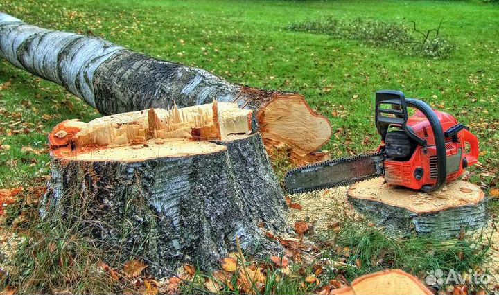 Вспашка земли мотоблоком