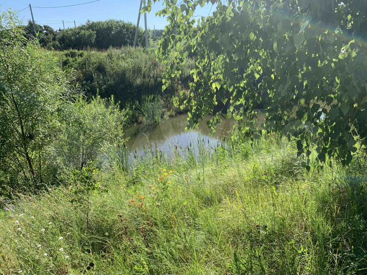 Участок 12 сот. (СНТ, ДНП)