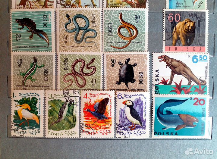 Почтовые марки фауна