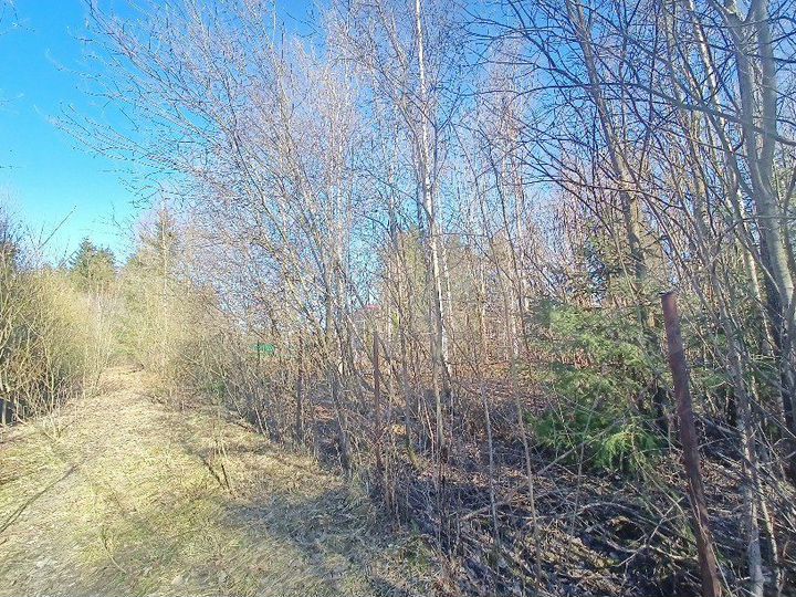 Участок 10 сот. (СНТ, ДНП)