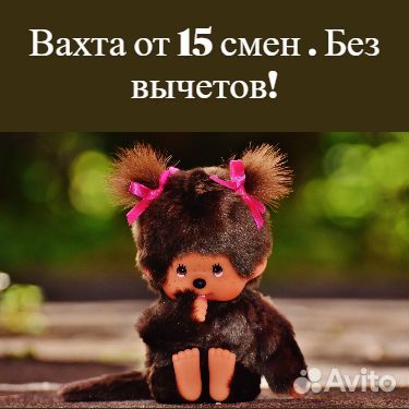 Разнорабочий. Вахта мо. Все включено