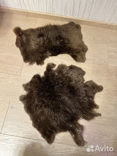 Шкурки дикого зверя