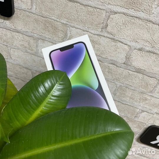iPhone 14 plus 256gb
